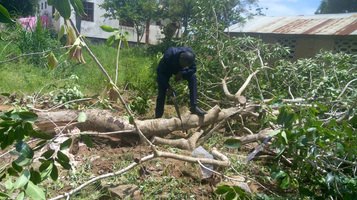 Nyasaka (Gengeni) — Eneo la awali (2018)
